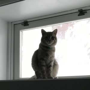 Meet your Posher, Annie klas